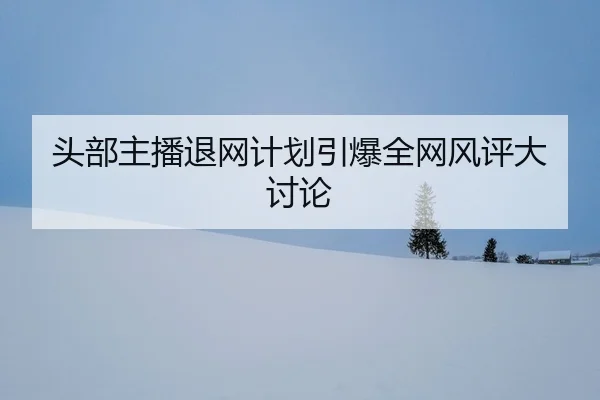 tou-bu-zhu-bo-tui-wang-ji-hua-yin-bao-quan-wang-feng-ping-da-tao-lun-2-717.jpg