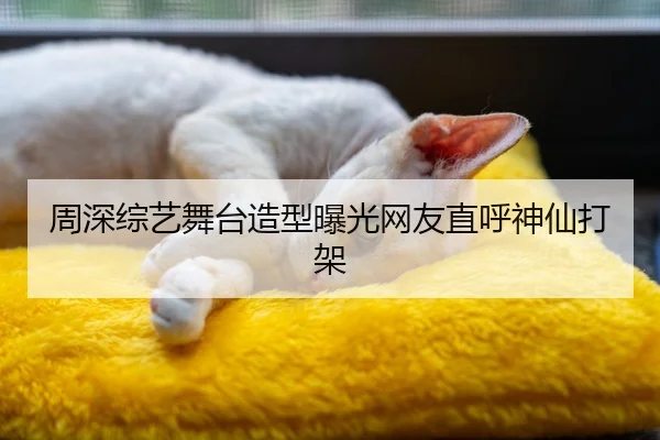 周深综艺舞台造型曝光网友直呼神仙打架